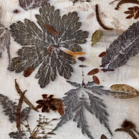Introduction to Mordant - Workshop