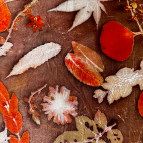 Introduction to Mordant - Workshop