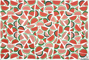 Watermelon - Underglaze Transfer Sheet - Multi Colored