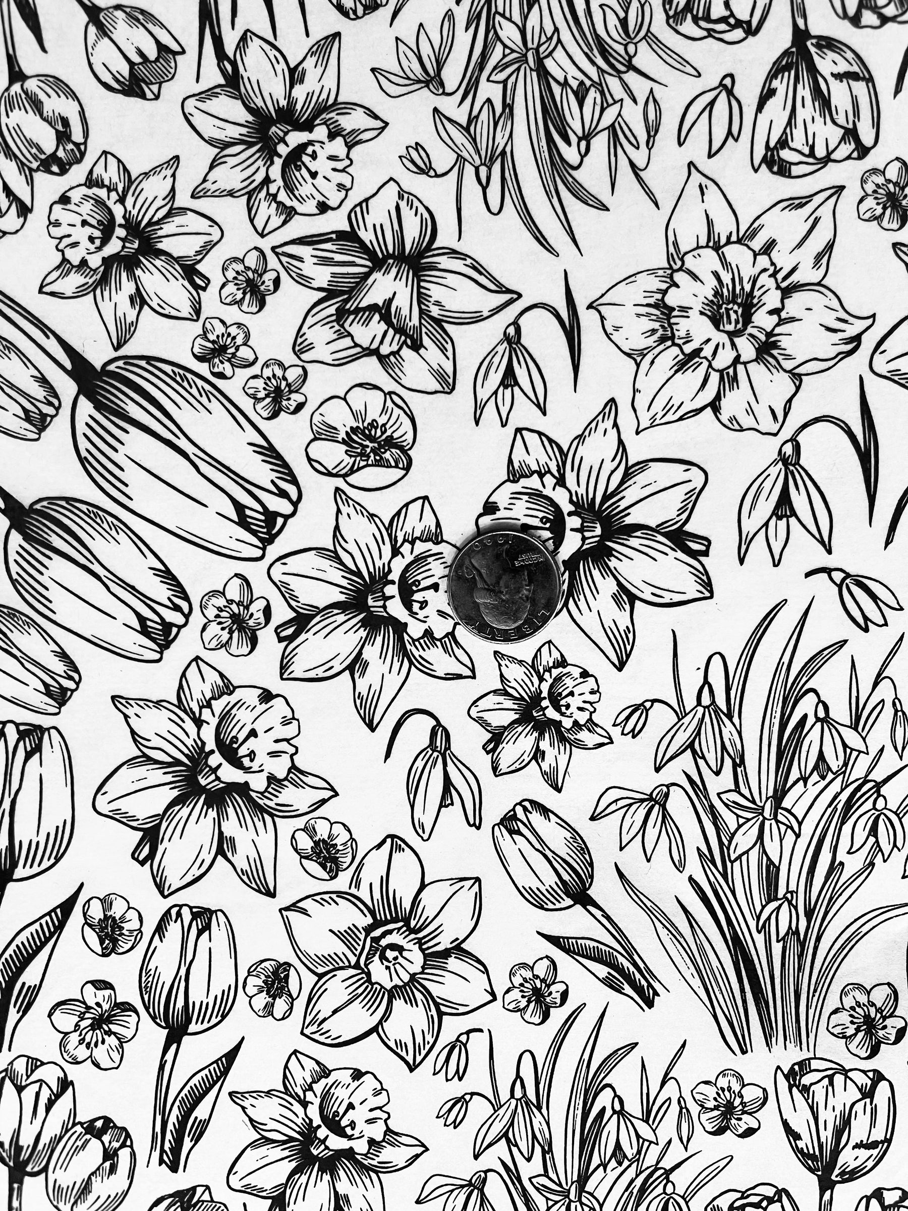 Spring Has Sprung - Underglaze Transfer Sheet - Black