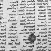 Charcuterie Board - Underglaze Transfer Sheet