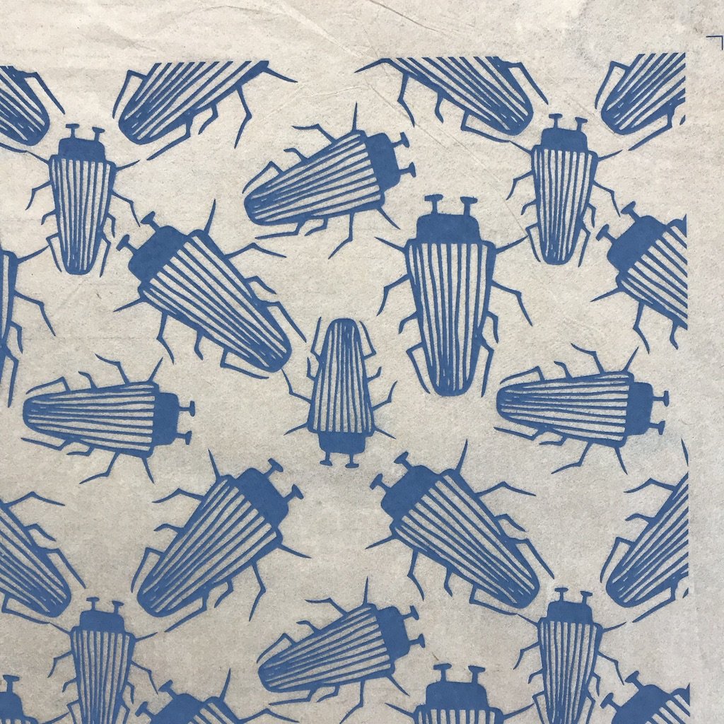 Beetles - Underglaze Transfer Sheet - You Choose Color